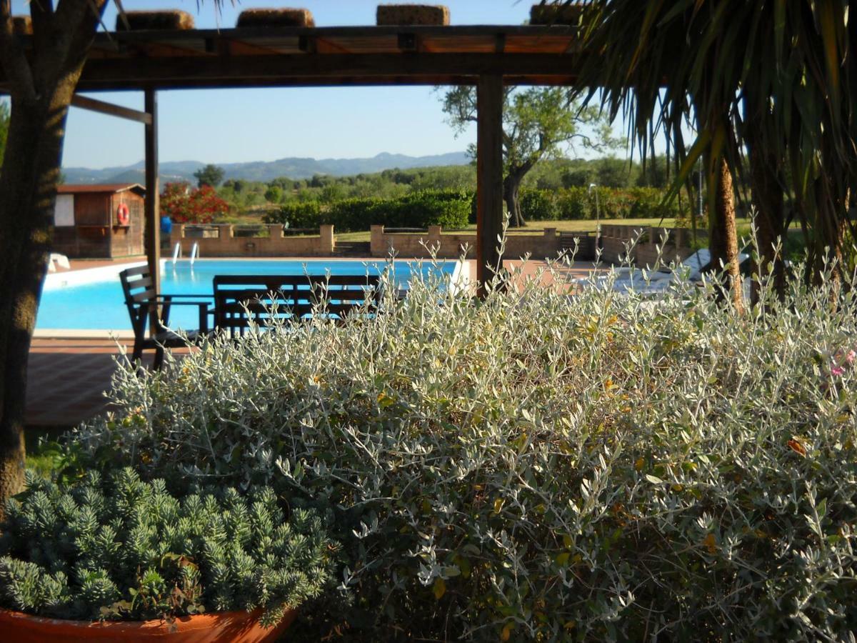 Agriturismo Podere del Vescovo Montenero d'Orcia Esterno foto