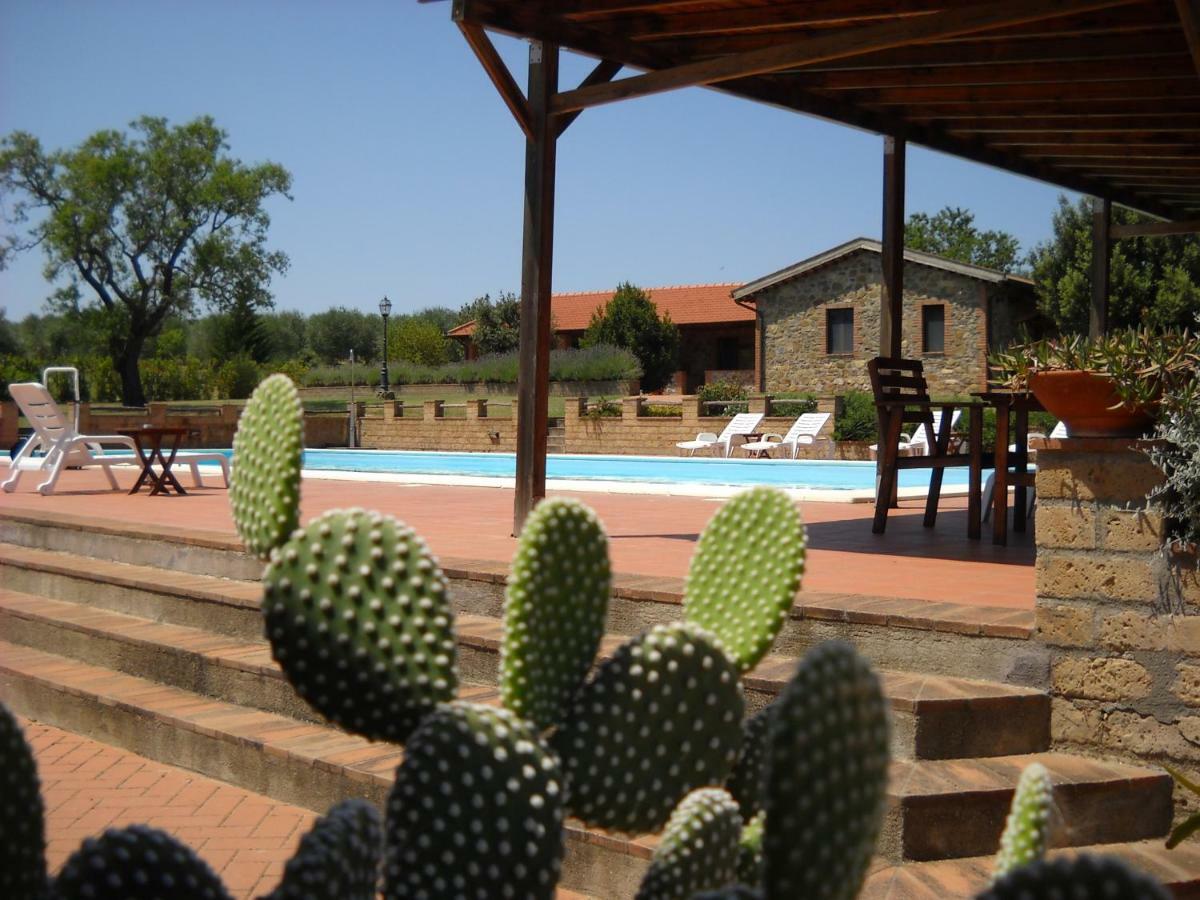 Agriturismo Podere del Vescovo Montenero d'Orcia Esterno foto