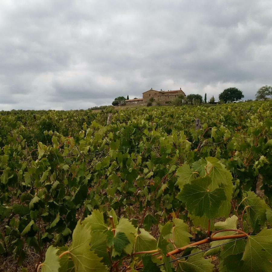 Agriturismo Podere del Vescovo Montenero d'Orcia Esterno foto