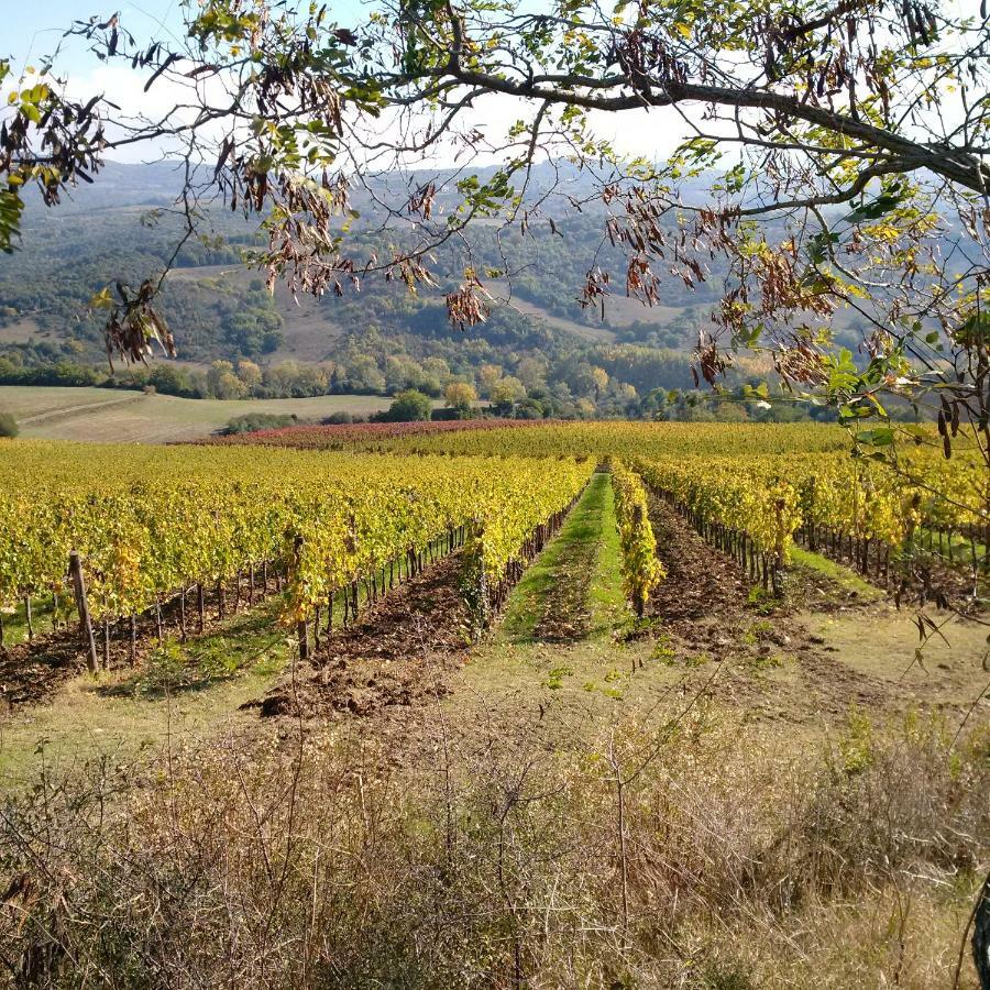 Agriturismo Podere del Vescovo Montenero d'Orcia Esterno foto