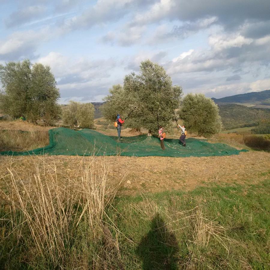 Agriturismo Podere del Vescovo Montenero d'Orcia Esterno foto