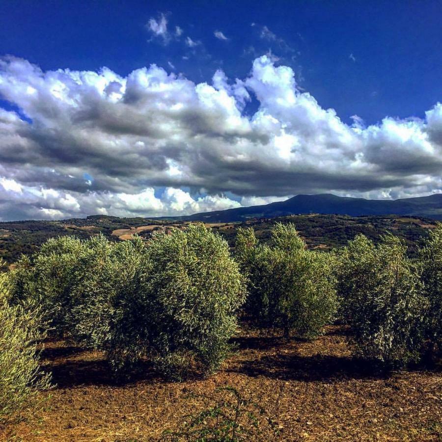 Agriturismo Podere del Vescovo Montenero d'Orcia Esterno foto