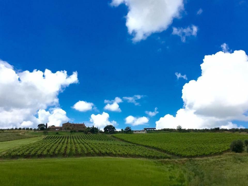 Agriturismo Podere del Vescovo Montenero d'Orcia Esterno foto